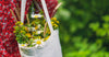 Around the World with 5 Exotic Organic Essential Oils