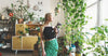 Essential Oils ‘Cabin Fever’ Survival Kit: Inviting Nature Inside