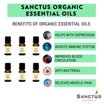 Organic Essential Oils Gift Box
