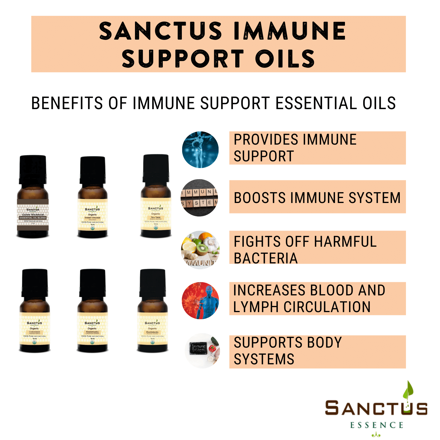 Immune Support Gift  Set