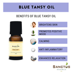 Blue Tansy Oil