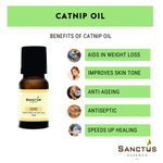 Catnip Oil