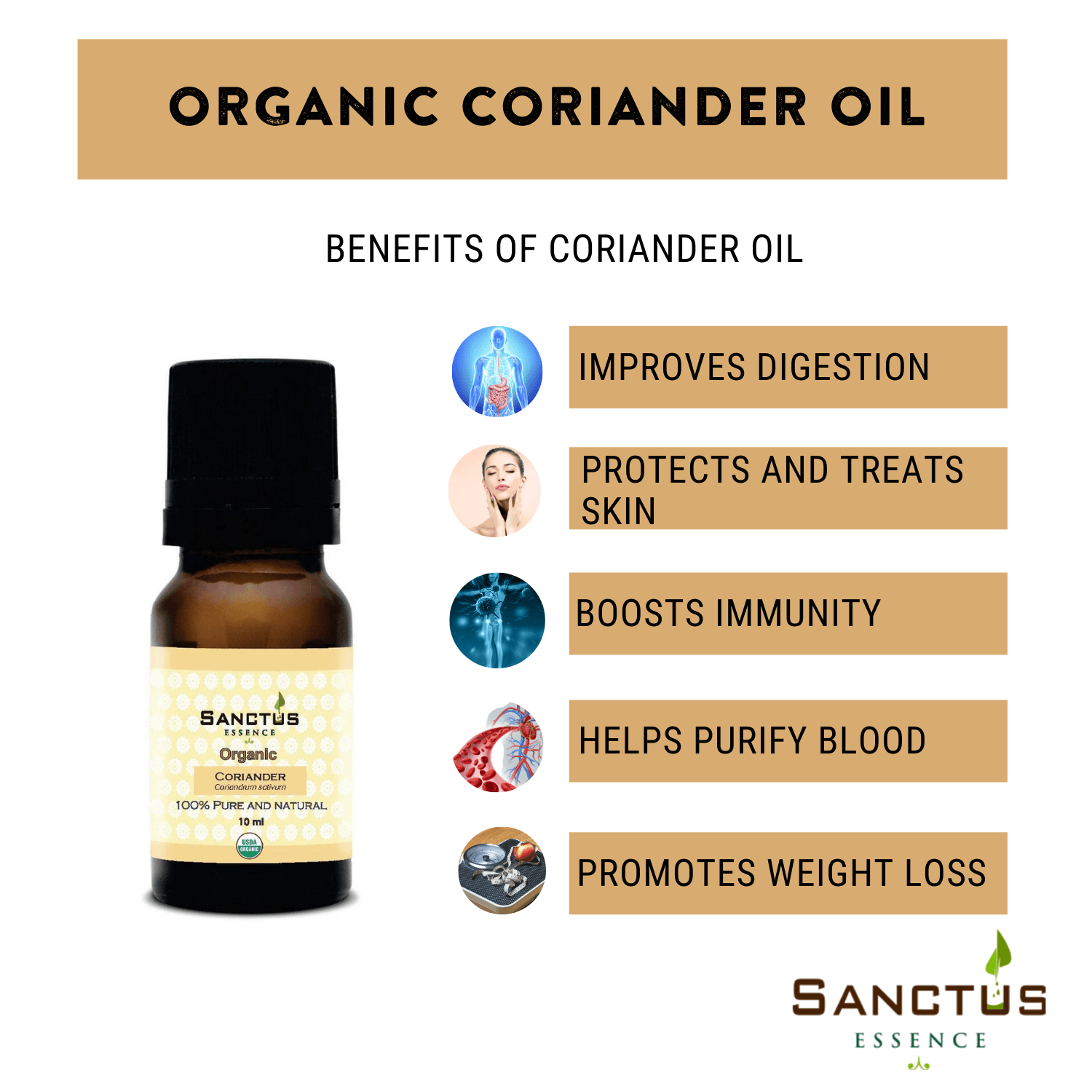 Organic Coriander Oil