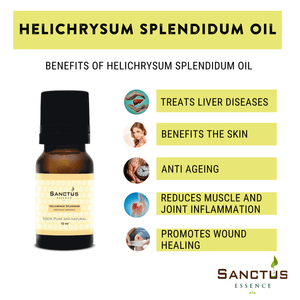 Helichrysum Splendidum Oil
