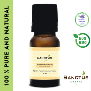 Helichrysum Splendidum Oil
