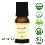 Helichrysum Splendidum Oil