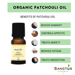Organic Patchouli oil