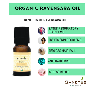 Organic Ravensara Oil