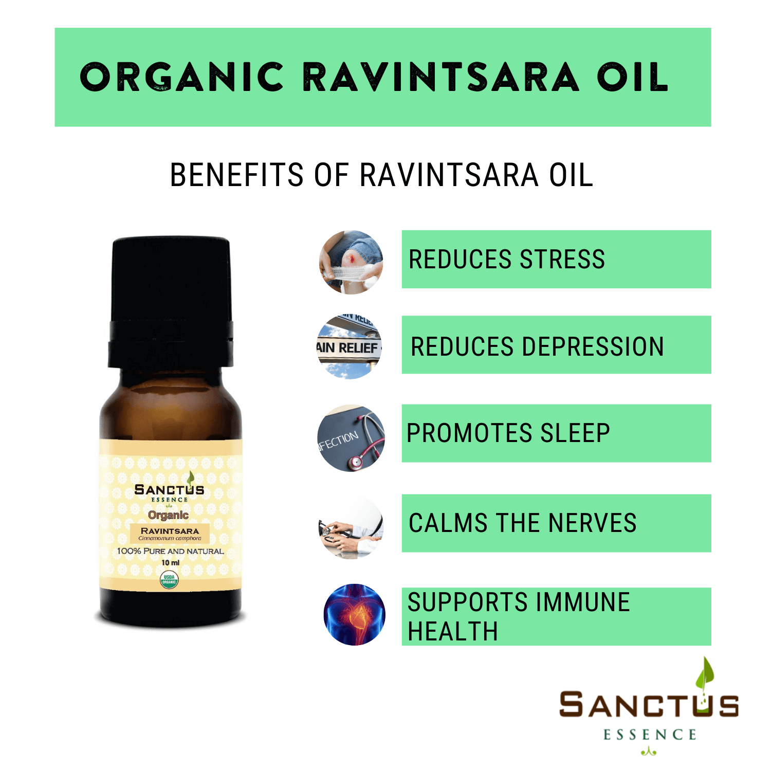Organic Ravintsara Oil