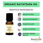 Organic Ravintsara Oil