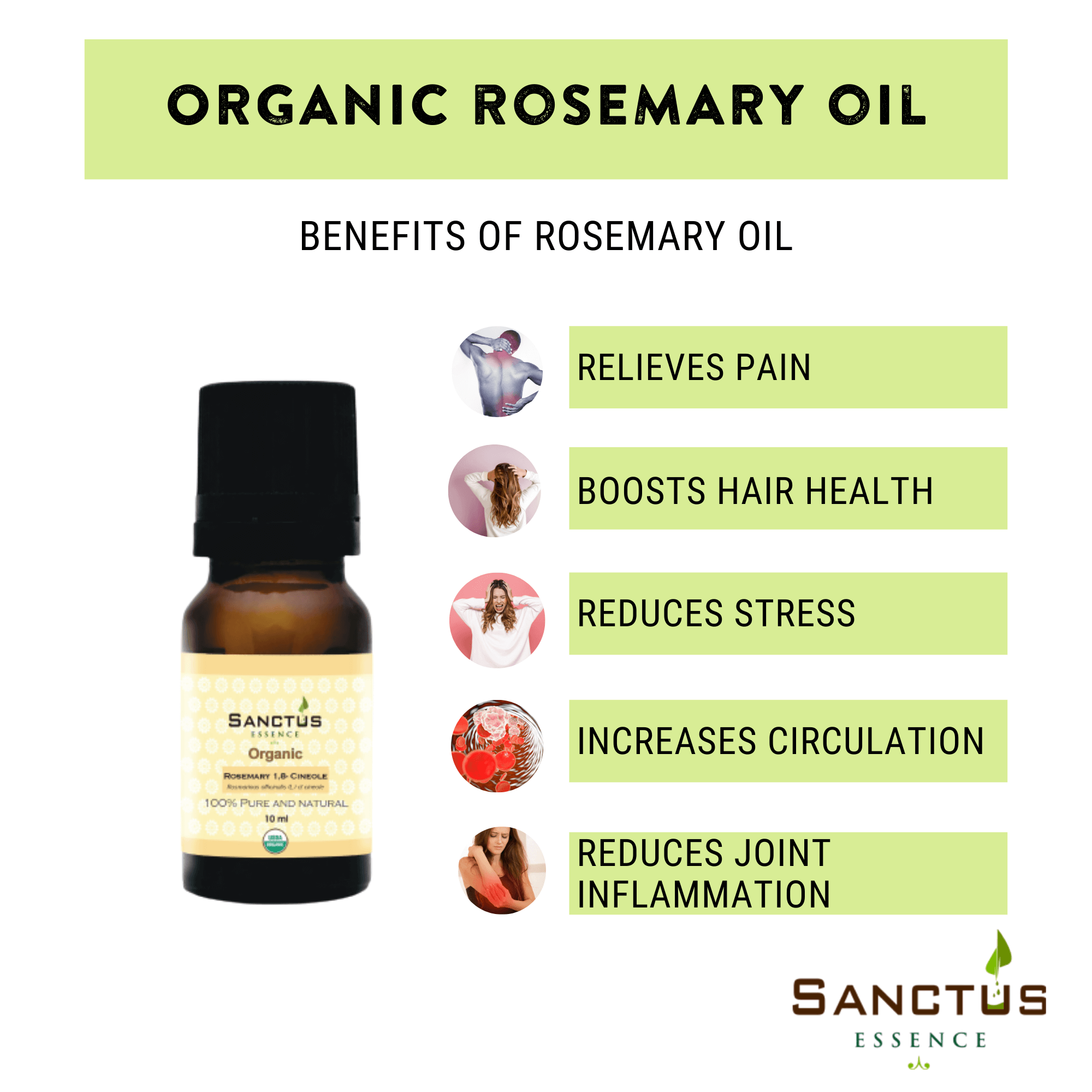 Organic Rosemary Cineole Essential Oil - Born to Bio - Born to Bio