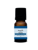 Inspire Essential Oil Blend