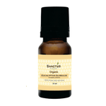 Organic Eucalyptus Globulus Oil