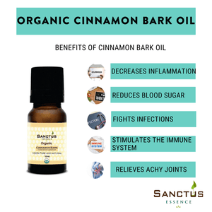 Organic Cinnamon Bark