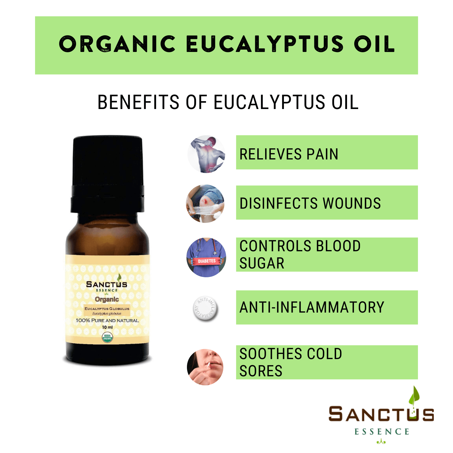Organic Eucalyptus Globulus Oil