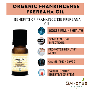 Organic Frankincense Frereana Oil